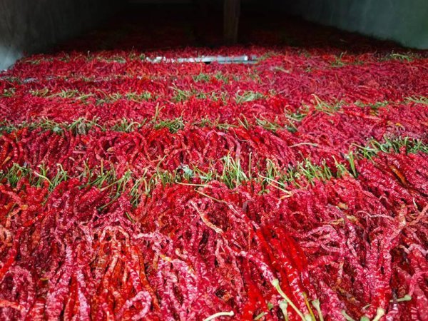 体育游戏app平台田间地头随地可见繁重的身影-开云「中国」kaiyun网页版登录入口